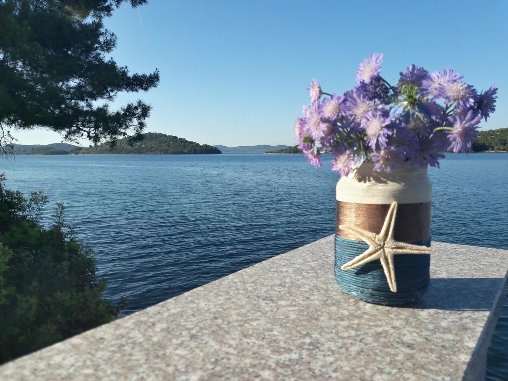 Luka  Pansion Alen - Dugi Otok Bed & Breakfast エクステリア 写真