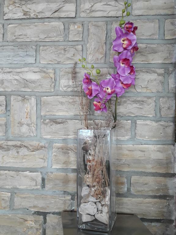 Luka  Pansion Alen - Dugi Otok Bed & Breakfast エクステリア 写真